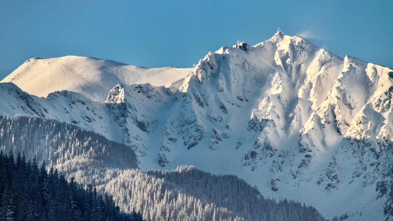 Crusoe Zakopane Apartment Bagian luar foto